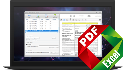 PDF to Excel Converter for Windows