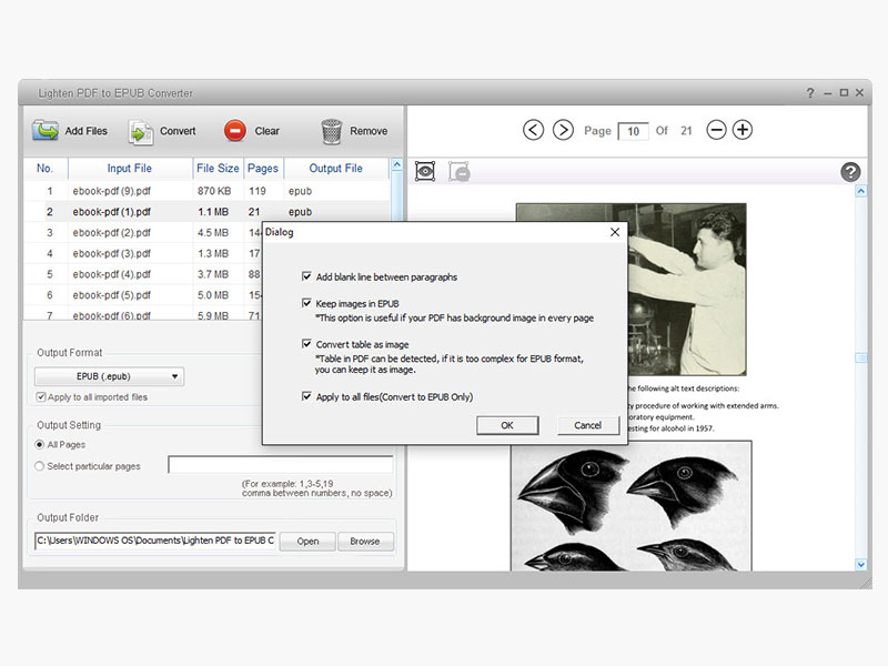 pdf to epub converter for windows screenshot 3
